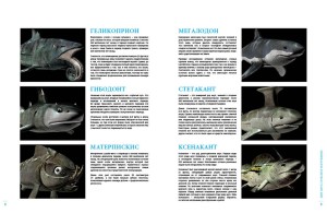 Planet Shark_booklet5